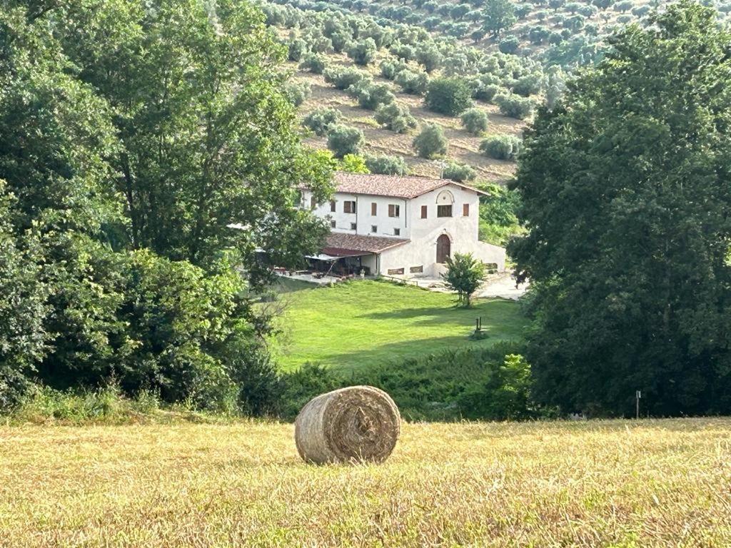 L'Antica Tenuta Montemaggiore  Esterno foto